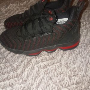 Nike Lebron James 16